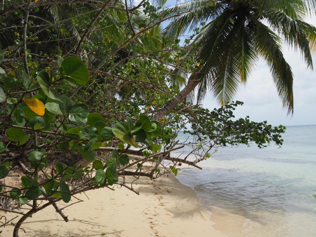 Blue Dream Beach - Residence Plage & Piscine Folle Anse Exterior foto