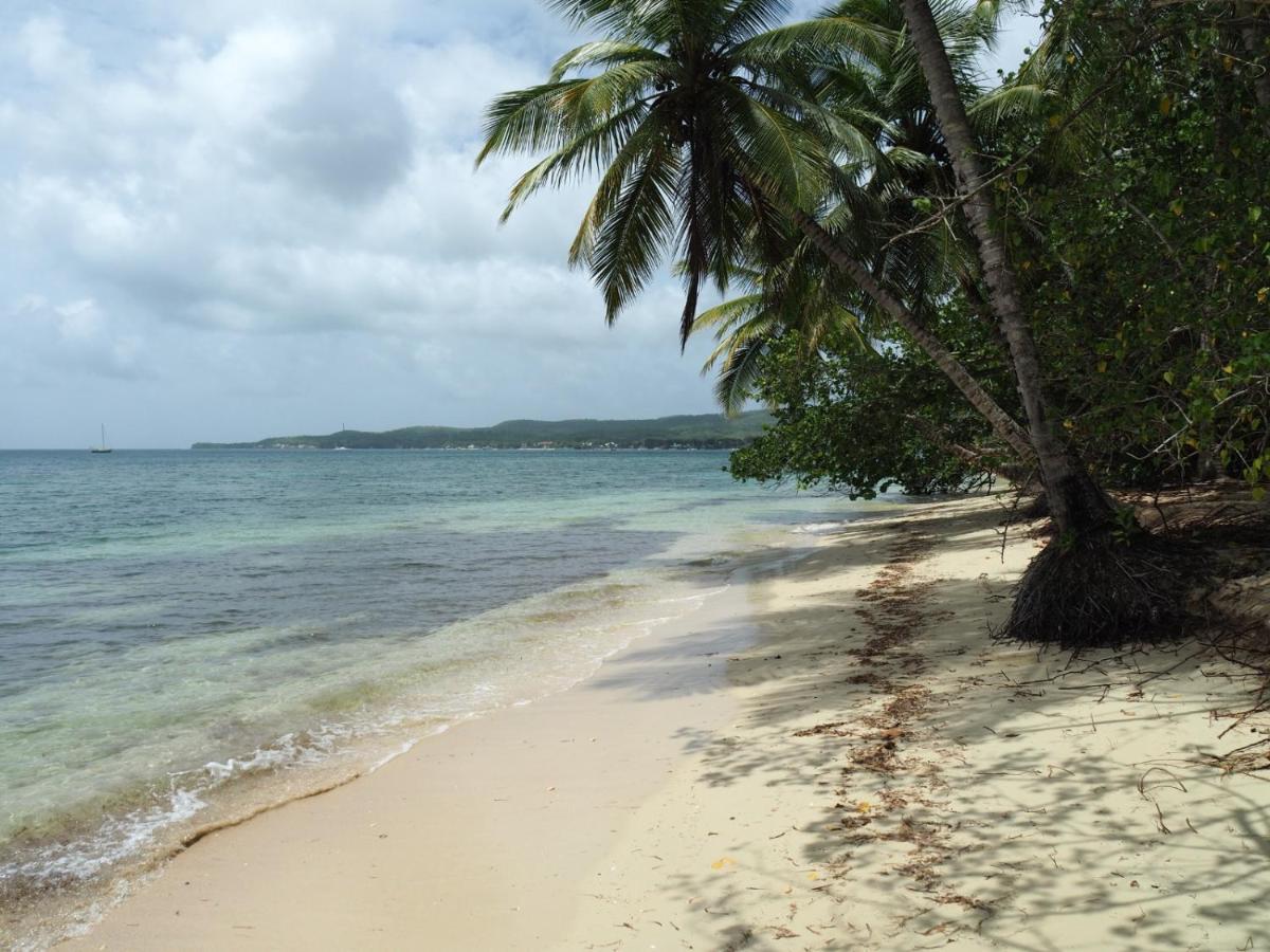 Blue Dream Beach - Residence Plage & Piscine Folle Anse Exterior foto